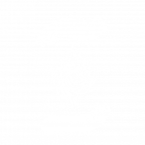 Logo blanc FERRITO therapies.